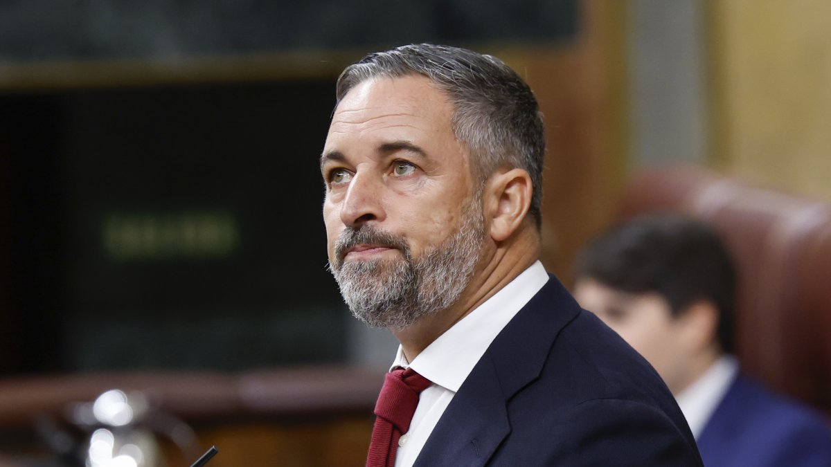 Santiago Abascal, durante un pleno en el Congreso