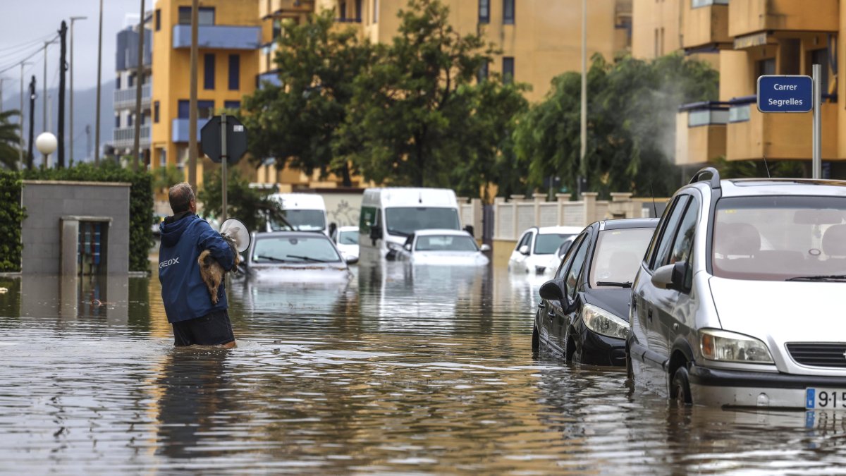 Un hombre atraviesa con un perro una zona inundada, a 19 de octubre de 2026, en Guardamar de la Safor.