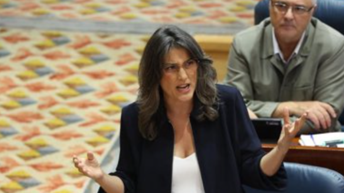 La portavoz de Más Madrid en la Asamblea de Madrid, Manuela Bergerot