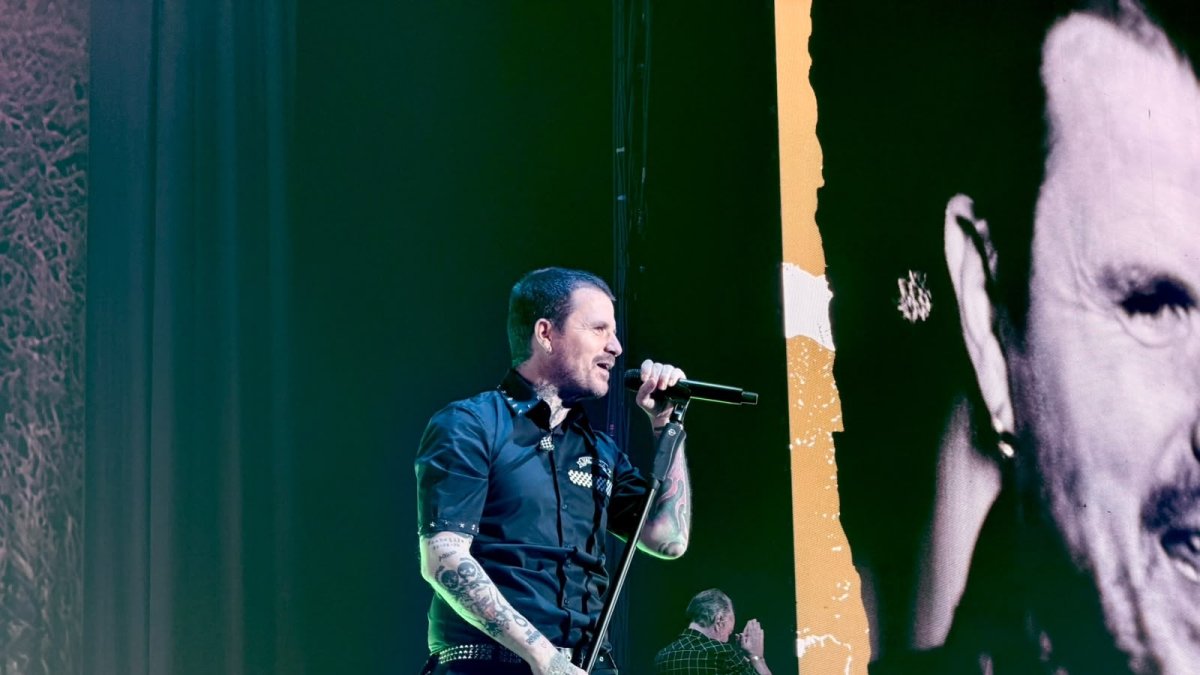 Imagen del concierto de Dani Martín en el Roig Arena, en València.