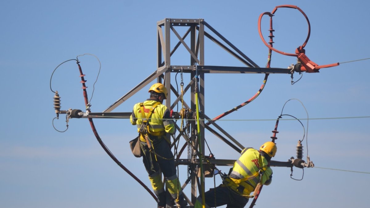 Trabajadores de Endesa modifican un apoyo para proteger a las aves.
REMITIDA / HANDOUT por ENDESA
03/4/2023