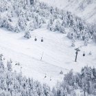 El telecabina de Baqueira avanza entre árboles nevados.