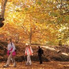 Senderistas en el Bosque de Cobre, Valle del Genal (Málaga).