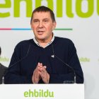 El coordinador de EH Bildu, Arnaldo Otegi