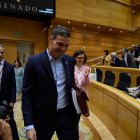 Pedro Sánchez llega al Senado