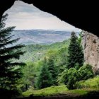 Imagen del pinsapar de la Sierra de las Nieves en Málaga. Foto: Tierra sin Fronteras.