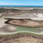 Laguna casi seca en Doñana.