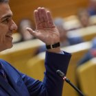 Pedro Sánchez en el Senado