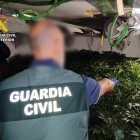 A prisión dos hombres tras desmantelar una plantación de marihuana en un chalet en Calp