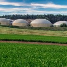 (Foto de ARCHIVO)
Plantas de biometano para usar residuos agrícolas y ganaderos para generar energía renovable y dar un paso más en la economía circular.

BIOMARGAS
12/8/2024