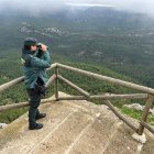 Un agente de la Guardia Civil en el dispositivo de búsqueda de la avionata en la sierra de Jaén.