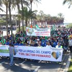 (Foto de ARCHIVO)
Agricultores de la Unión de Agricultores Independientes con pancartas manifestándose en Almería a 26 de febrero

Rafael González
26/2/2020