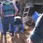 Operación de la Guardia Civil en una finca de Coria del Río.