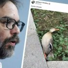 Álvaro Fernández Heredia y la foto del bulo del pato