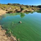 Embalse del Parque Nacional de Monfragüe, en Cáceres, el 11 de marzo de 2025.