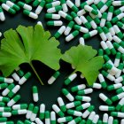 Extracto de hoja Ginkgo Biloba de Solgar
