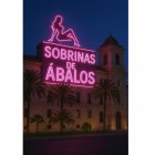 Rótulo luminso dedicado a las sobrinas de Ábalos propuesto en los Presupuestos Participativos de Valencia