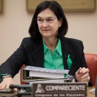(Foto de ARCHIVO)
La presidenta de la Comisión Nacional de los Mercados y Competencia (CNMC), Cani Fernández.