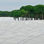 Imagen de cultivos junto al espacio natural de Doñana, en Huelva.