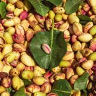 (Foto de ARCHIVO)
Pistachos.

REMITIDA / HANDOUT por AGROPTIMUM
Fotografía remitida a medios de comunicación exclusivamente para ilustrar la noticia a la que hace referencia la imagen, y citando la procedencia de la imagen en la firma
12/9/2024