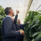 El consejero de Agricultura, Ramón Fernández-Pacheco, en un invernadero afectado por lluvias. Imagen de archivo.

REMITIDA / HANDOUT por JUNTA DE ANDALUCIA
Fotografía remitida a medios de comunicación exclusivamente para ilustrar la noticia a la que hace referencia la imagen, y citando la procedencia de la imagen en la firma
06/11/2025