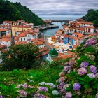 Cudiller en Asturias