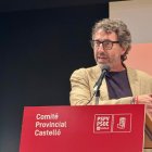 El secretario de Organización del PSPV-PSOE, Vicent Mascarell