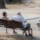 Dos personas y un perro, a 17 de septiembre de 2025, en Barcelona, Catalunya (España).
David Zorrakino / Europa Press
17 SEPTIEMBRE 2025