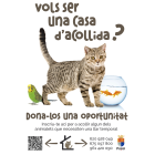 Cartel de la campaña para acogida temporal de mascotas.