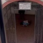 Captura de uno de los vídeos filtrados