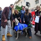 Bendición de animales de Sant Antoni en la calle Sagunto de Valencia