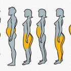 El falso mito de las hormonas y la grasa.