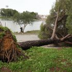 Efectos del viento en Sevilla.