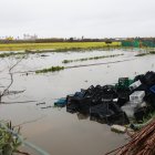 Explotaciones agrícolas inundadas en la provincia de Cädiz.