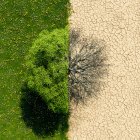 El cambio climático en la naturaleza