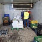 Imagen de los alimentos y productos intervenidos.