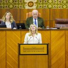 La consejera de Economía, Carolina España, este miércoles en el Pleno del Parlamento.