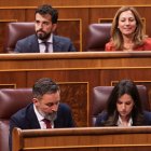 En la primera fila, el presidente de VOX, Santiago Abascal, y la portavoz de VOX en el Congreso, Pepa Millán, durante una sesión de control al Gobierno, en el Congreso de los Diputados