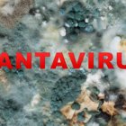 Hantavirus