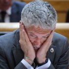 El ministro del Interior, Fernando Grande-Marlaska, durante una sesión de control al Gobierno, en el Senado.