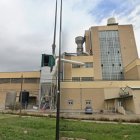Planta de Lagarto en Zaragoza