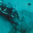 Recogida de residuos del fondo marino.