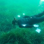 Submarinista con Posidonia en el Cabo de Gata