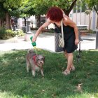 (Foto de ARCHIVO)
La localidad jienense de Andújar bajo aviso rojo por calor con máximas de 44º. A 23 de junio de 2026 en Andújar, Jaén (Andalucía, España). La ola de calor se intensifica en región andaluza, dejando activado para este martes el aviso rojo por temperaturas extremas en la provincia de Córdoba y Jaén que podrían alcanzar los 44 grados, mientras que en Almería y Granada se ha decretado la alerta naranja y en Sevilla el nivel amarillo.

Rocío Ruz / Europa Press
23/6/2026