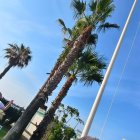 Izada de la bandera azul en el litoral de Torremolinos.