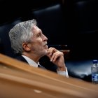 El ministro del Interior, Fernando Grande-Marlaska, durante una sesión de control al Gobierno en el Congreso