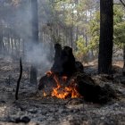 El incendio forestal de Burgohondo (Ávila) ha calcinado 55000 hectáreas convirtiéndose en el mayor incendio registrado en España