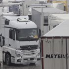 Imagen de camiones parados en los accesos al puerto de Algeciras.
Nono Rico / Europa Press
27/1/2026