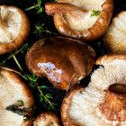 Setas cocinadas con hierbas aromáticas. Imagen de recurso.