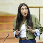 La consejera de Igualdad de la Junta de Andalucía, Loles López (PP-A).